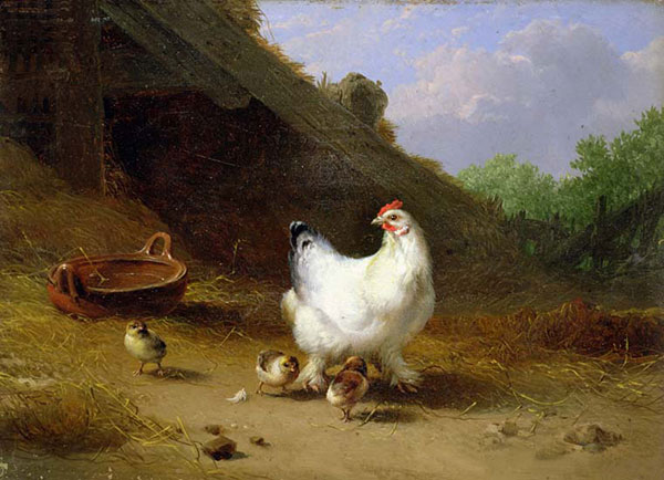 Kompatibel Tiere für Jahrriesnge hen-and-chick-lpf02632 Compatible Tiere Jahrriesnge for hen-and-chick-lpf02632