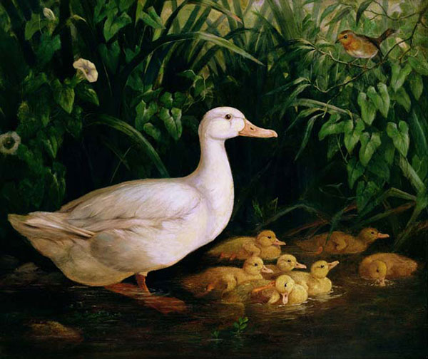 Kompatibel Tiere für Jahrriesnge mother-duck-and-duckling-lpf02634 Compatible Tiere Jahrriesnge for mother-duck-and-duckling-lpf02634
