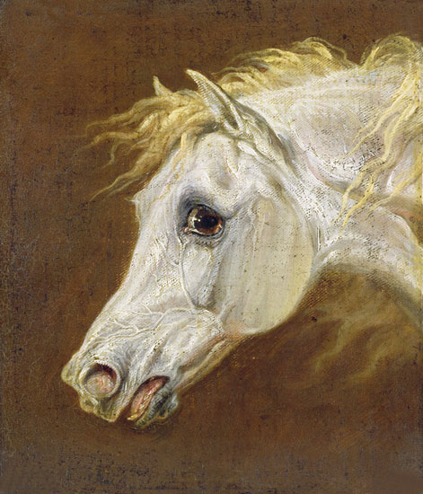 Kompatibel Tiere für Jahrriesnge horse-lpf02650 Compatible Tiere Jahrriesnge for horse-lpf02650