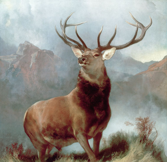 Kompatibel Tiere für Jahrriesnge red-deer-lpf02655 Compatible Tiere Jahrriesnge for red-deer-lpf02655