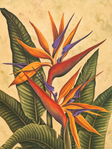 Kompatibel Blumen für JAHRRIESNGE bird of paradise flower lpf04605 Compatible Blumen JAHRRIESNGE for bird of paradise flower lpf04605