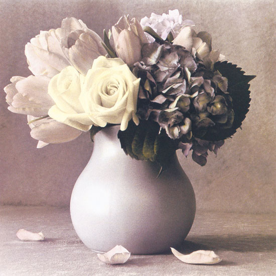 Kompatibel Blumen für JAHRRIESNGE flowers lpf04614 Compatible Blumen JAHRRIESNGE for flowers lpf04614