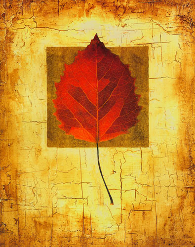 Kompatibel Blumen für JAHRRIESNGE leaf lpf04635 Compatible Blumen JAHRRIESNGE for leaf lpf04635
