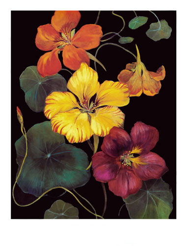 Kompatibel Blumen für JAHRRIESNGE flowers lpf04813 Compatible Blumen JAHRRIESNGE for flowers lpf04813