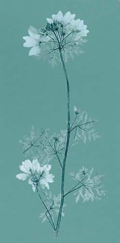 Kompatibel Blumen für JAHRRIESNGE flowers lpf04841 Compatible Blumen JAHRRIESNGE for flowers lpf04841
