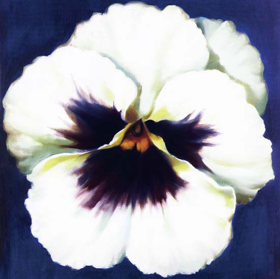 Kompatibel Blumen für JAHRRIESNGE flowers lpf05350 Compatible Blumen JAHRRIESNGE for flowers lpf05350