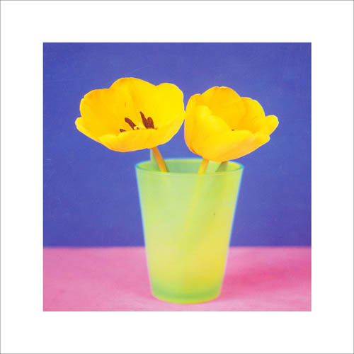 Kompatibel Blumen für JAHRRIESNGE flowers lpf05589 Compatible Blumen JAHRRIESNGE for flowers lpf05589
