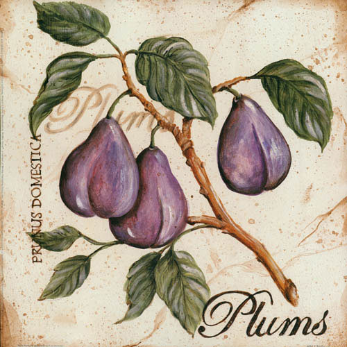 Kompatibel Blumen für JAHRRIESNGE plums lpf05600 Compatible Blumen JAHRRIESNGE for plums lpf05600