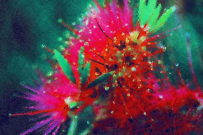 Kompatibel Abstrakt für Jahrriesnge colorful-lpf05780 Compatible Abstrakt Jahrriesnge for colorful-lpf05780