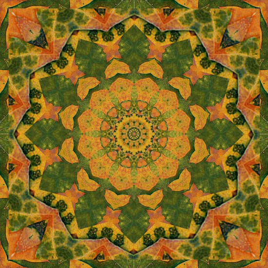 Kompatibel Abstrakt für Jahrriesnge colorful-lpf06363 Compatible Abstrakt Jahrriesnge for colorful-lpf06363
