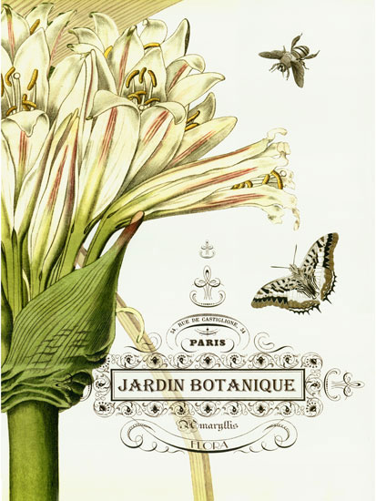 Kompatibel Blumen für JAHRRIESNGE flowers-lpf06633 Compatible Blumen JAHRRIESNGE for flowers-lpf06633