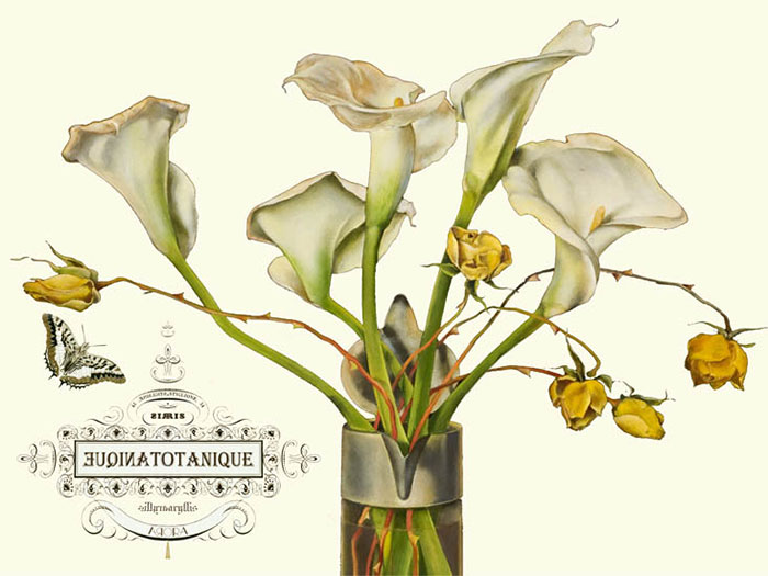 Kompatibel Blumen für JAHRRIESNGE flowers-lpf06640 Compatible Blumen JAHRRIESNGE for flowers-lpf06640