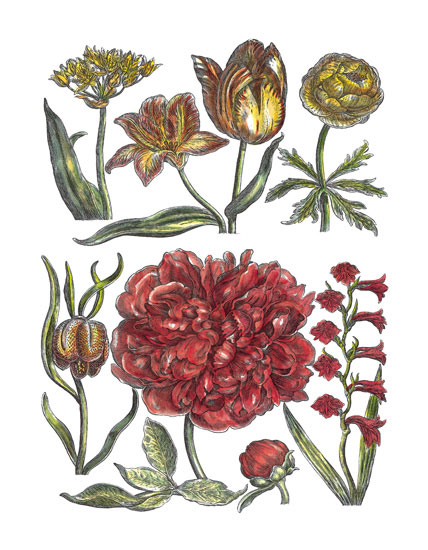 Kompatibel Blumen für JAHRRIESNGE flowers-lpf06779 Compatible Blumen JAHRRIESNGE for flowers-lpf06779