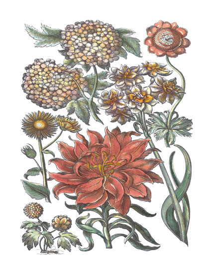 Kompatibel Blumen für JAHRRIESNGE flowers-lpf06780 Compatible Blumen JAHRRIESNGE for flowers-lpf06780