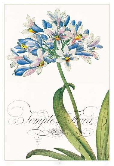 Kompatibel Blumen für JAHRRIESNGE flowers-lpf06833 Compatible Blumen JAHRRIESNGE for flowers-lpf06833