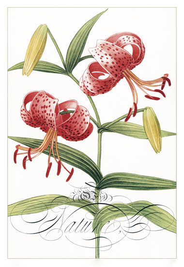 Kompatibel Blumen für JAHRRIESNGE flowers-lpf06834 Compatible Blumen JAHRRIESNGE for flowers-lpf06834