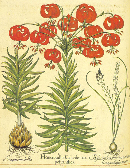 Kompatibel Blumen für JAHRRIESNGE flowers-lpf06863 Compatible Blumen JAHRRIESNGE for flowers-lpf06863