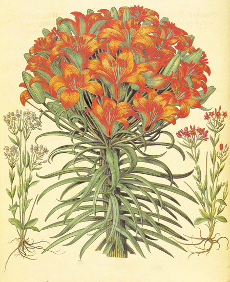 Kompatibel Blumen für JAHRRIESNGE flowers-lpf06871 Compatible Blumen JAHRRIESNGE for flowers-lpf06871