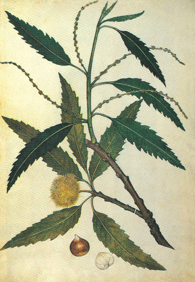 Kompatibel Blumen für JAHRRIESNGE leaves-lpf06925 Compatible Blumen JAHRRIESNGE for leaves-lpf06925