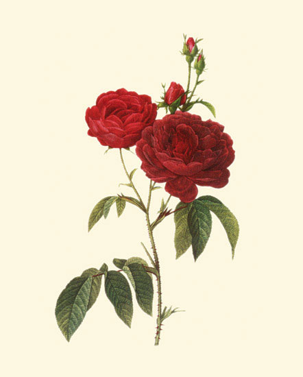 Kompatibel Blumen für JAHRRIESNGE flowers-lpf06957 Compatible Blumen JAHRRIESNGE for flowers-lpf06957