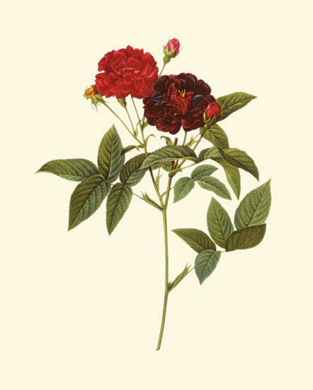 Kompatibel Blumen für JAHRRIESNGE flowers-lpf06958 Compatible Blumen JAHRRIESNGE for flowers-lpf06958