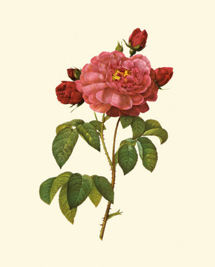 Kompatibel Blumen für JAHRRIESNGE flowers-lpf06960 Compatible Blumen JAHRRIESNGE for flowers-lpf06960