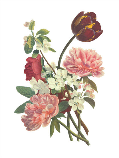Kompatibel Blumen für JAHRRIESNGE flowers-lpf06999 Compatible Blumen JAHRRIESNGE for flowers-lpf06999