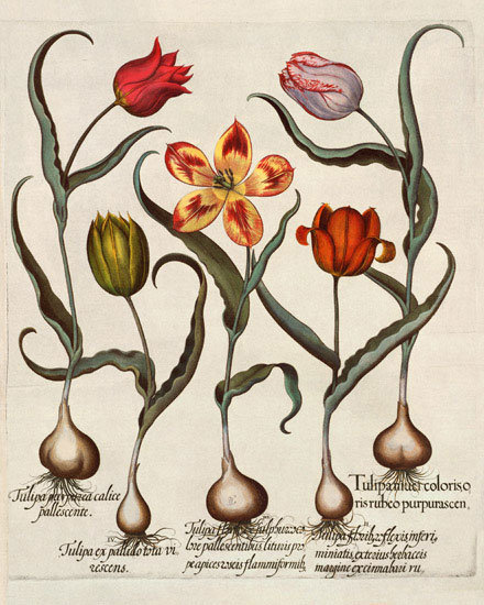 Kompatibel Blumen für JAHRRIESNGE flowers-lpf07005 Compatible Blumen JAHRRIESNGE for flowers-lpf07005