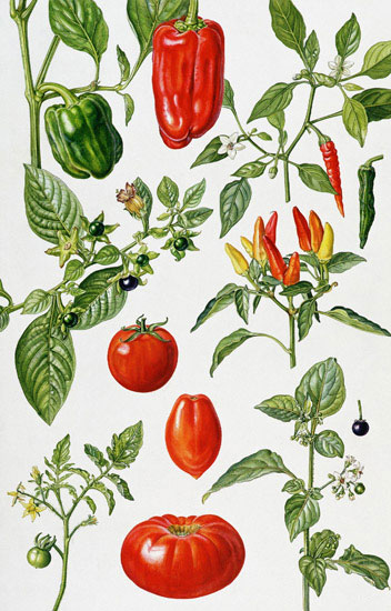 Kompatibel Blumen für JAHRRIESNGE flowers-lpf07031 Compatible Blumen JAHRRIESNGE for flowers-lpf07031