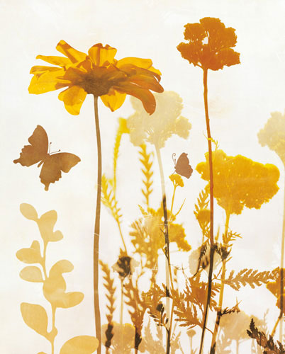 Kompatibel Blumen für JAHRRIESNGE flowers-lpf07156 Compatible Blumen JAHRRIESNGE for flowers-lpf07156