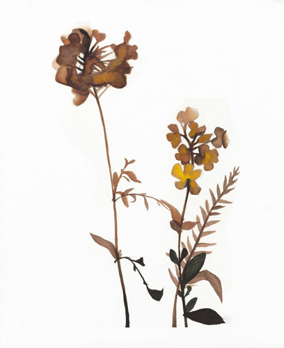 Kompatibel Blumen für JAHRRIESNGE flowers-lpf07211 Compatible Blumen JAHRRIESNGE for flowers-lpf07211