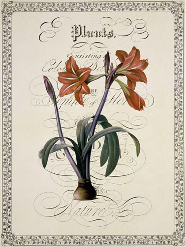 Kompatibel Blumen für JAHRRIESNGE flowers-lpf07222 Compatible Blumen JAHRRIESNGE for flowers-lpf07222