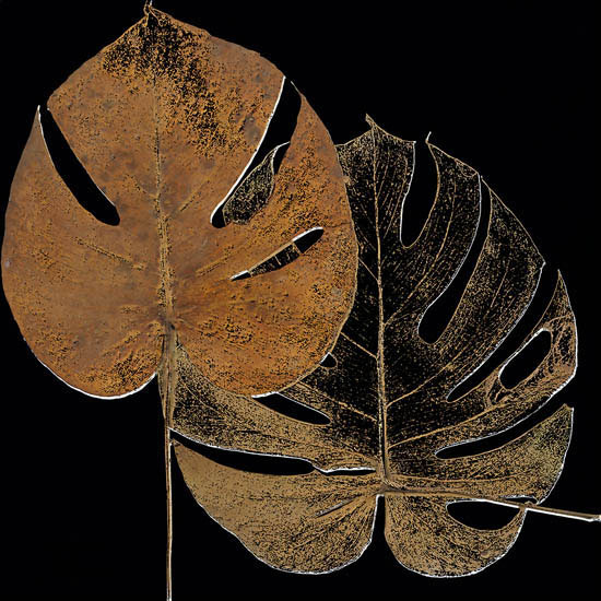 Kompatibel Blumen für JAHRRIESNGE leaf-lpf07350 Compatible Blumen JAHRRIESNGE for leaf-lpf07350