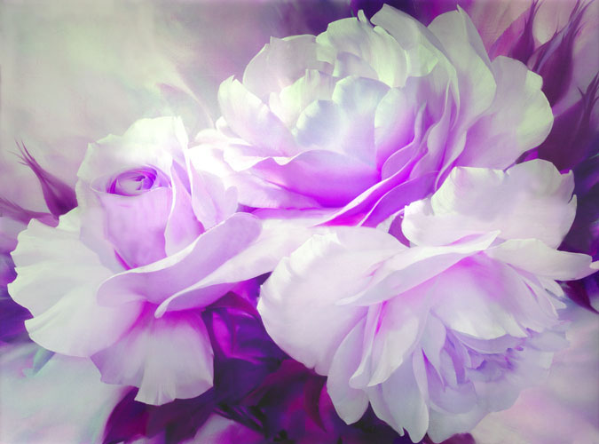 Kompatibel Blumen für JAHRRIESNGE flowers-lpf07468 Compatible Blumen JAHRRIESNGE for flowers-lpf07468
