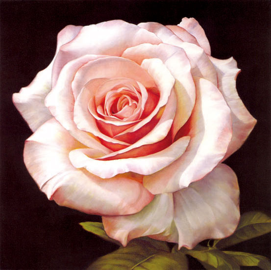 Kompatibel Blumen für JAHRRIESNGE flowers-lpf07538 Compatible Blumen JAHRRIESNGE for flowers-lpf07538