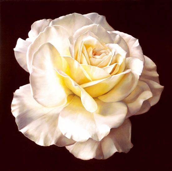 Kompatibel Blumen für JAHRRIESNGE flowers-lpf07540 Compatible Blumen JAHRRIESNGE for flowers-lpf07540