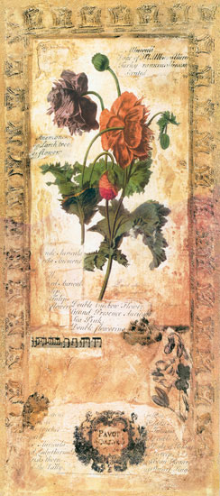 Kompatibel Blumen für JAHRRIESNGE flowers lpf07724 Compatible Blumen JAHRRIESNGE for flowers lpf07724