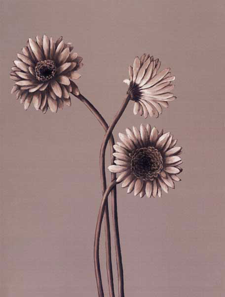 Kompatibel Blumen für JAHRRIESNGE flower lpf07821 Compatible Blumen JAHRRIESNGE for flower lpf07821