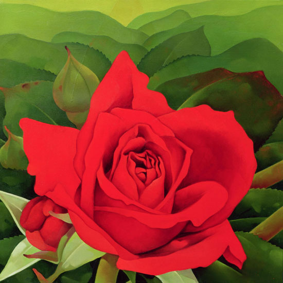 Kompatibel Blumen für JAHRRIESNGE flowers lpf07965 Compatible Blumen JAHRRIESNGE for flowers lpf07965