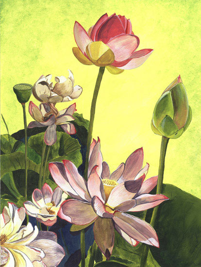 Kompatibel Blumen für JAHRRIESNGE flowers lpf08104 Compatible Blumen JAHRRIESNGE for flowers lpf08104
