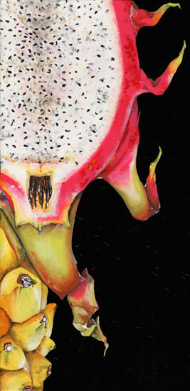 Kompatibel Blumen für JAHRRIESNGE dragon fruit lpf08147 Compatible Blumen JAHRRIESNGE for dragon fruit lpf08147