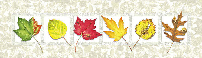 Kompatibel Blumen für JAHRRIESNGE leaves lpf08160 Compatible Blumen JAHRRIESNGE for leaves lpf08160
