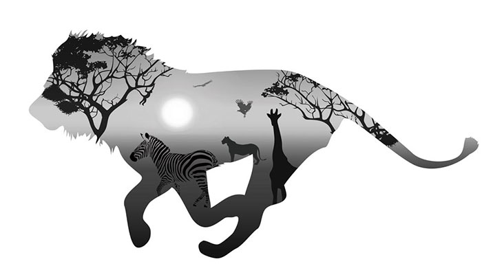 Kompatibel Tiere für Jahrriesnge lion and zebra lpf08621 Compatible Tiere Jahrriesnge for lion and zebra lpf08621