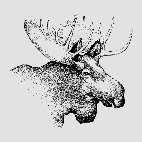 Kompatibel Tiere für Jahrriesnge deer lpf08653 Compatible Tiere Jahrriesnge for deer lpf08653