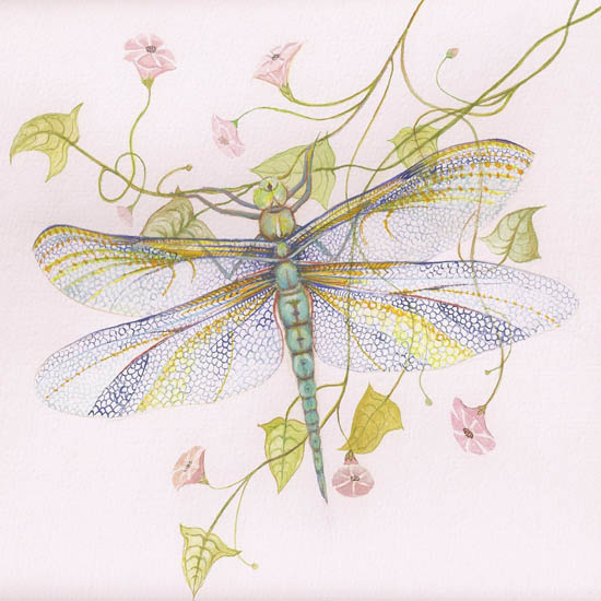 Kompatibel Tiere für Jahrriesnge dragonfly lpf08679 Compatible Tiere Jahrriesnge for dragonfly lpf08679
