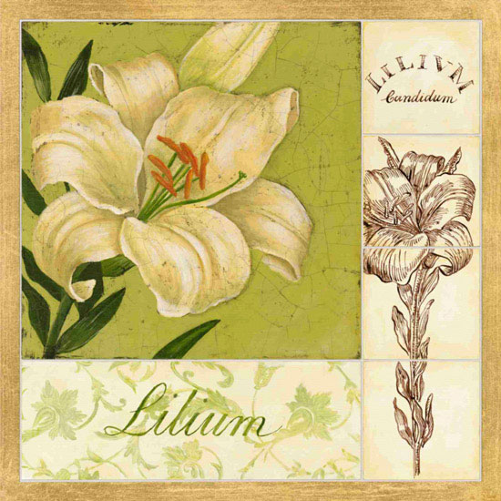 Kompatibel Blumen für JAHRRIESNGE flowers lpf09621 Compatible Blumen JAHRRIESNGE for flowers lpf09621
