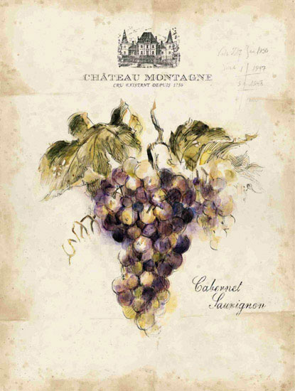 Kompatibel Blumen für JAHRRIESNGE grapes lpf09659 Compatible Blumen JAHRRIESNGE for grapes lpf09659