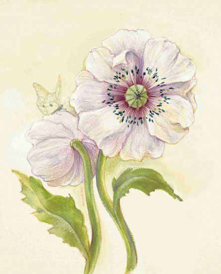Kompatibel Blumen für JAHRRIESNGE flowers lpf09686 Compatible Blumen JAHRRIESNGE for flowers lpf09686
