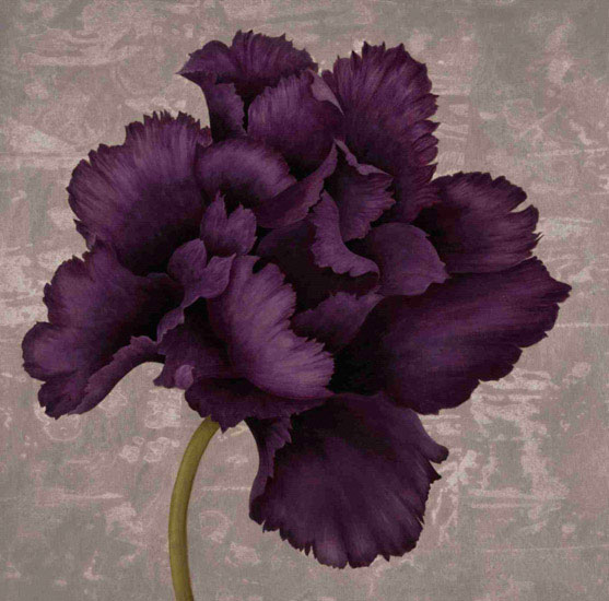 Kompatibel Blumen für JAHRRIESNGE flowers lpf09996 Compatible Blumen JAHRRIESNGE for flowers lpf09996