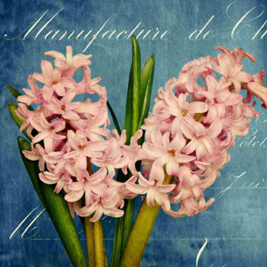 Kompatibel Blumen für JAHRRIESNGE flowers lpf10017 Compatible Blumen JAHRRIESNGE for flowers lpf10017